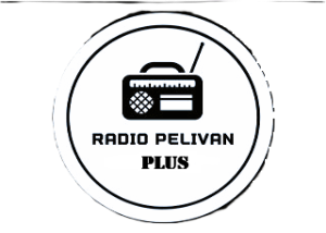 Radio Pelivan Plus