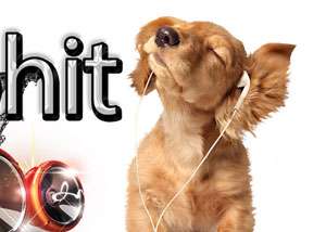 Radio Hit