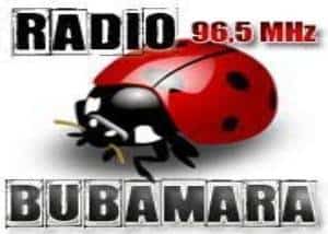 Radio Bubamara Svrljig