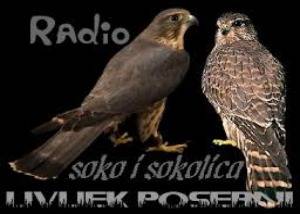 Radio Soko i Sokolica Radio Soko i Sokolica