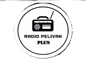 Radio Pelivan Plus